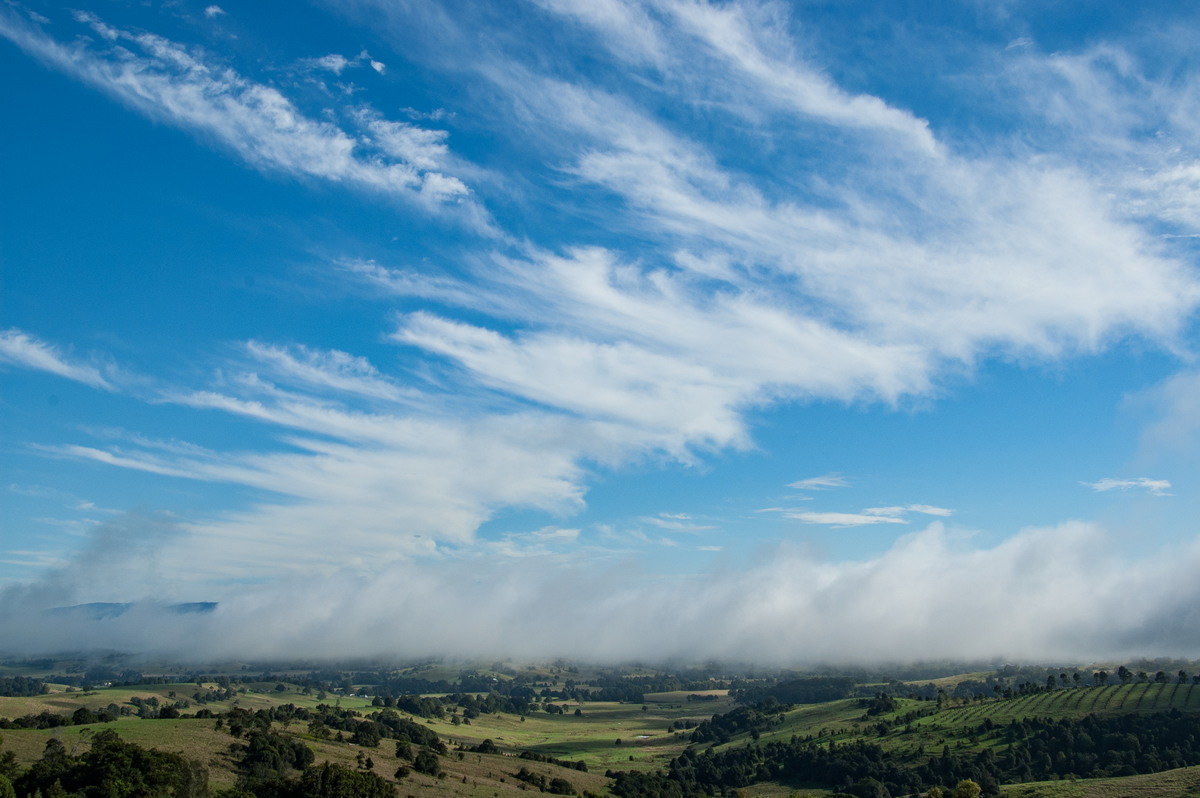 favourites michael_bath : McLeans Ridges, NSW   15 April 2009