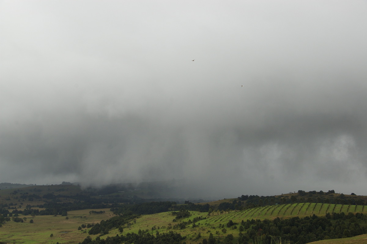 raincascade precipitation_cascade : McLeans Ridges, NSW   6 May 2009