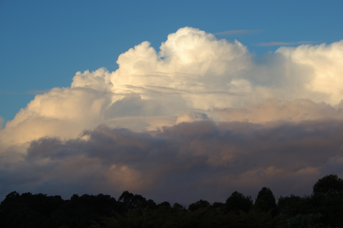 cumulus congestus : McLeans Ridges, NSW   18 June 2009