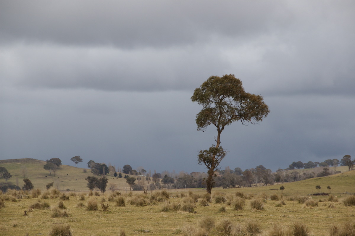 stratocumulus stratocumulus_cloud : Ben Lomond, NSW   15 July 2009