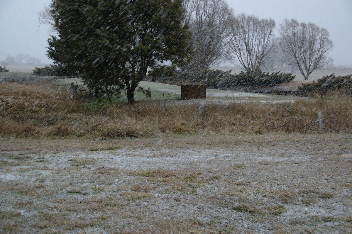 precipitation precipitation_rain : Guyra, NSW   15 July 2009