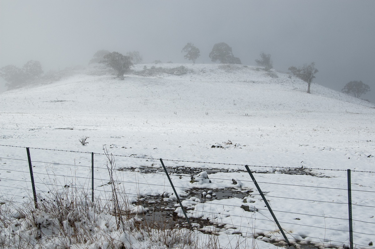 snow snow_pictures : Maybole, NSW   16 July 2009