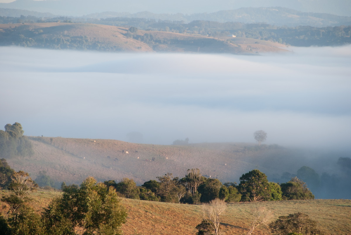 favourites michael_bath : McLeans Ridges, NSW   14 August 2009