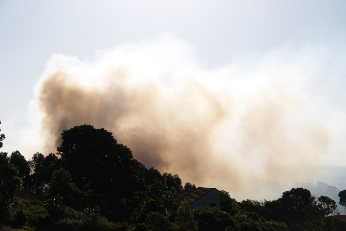 bushfire wild_fire : McLeans Ridges, NSW   14 August 2009