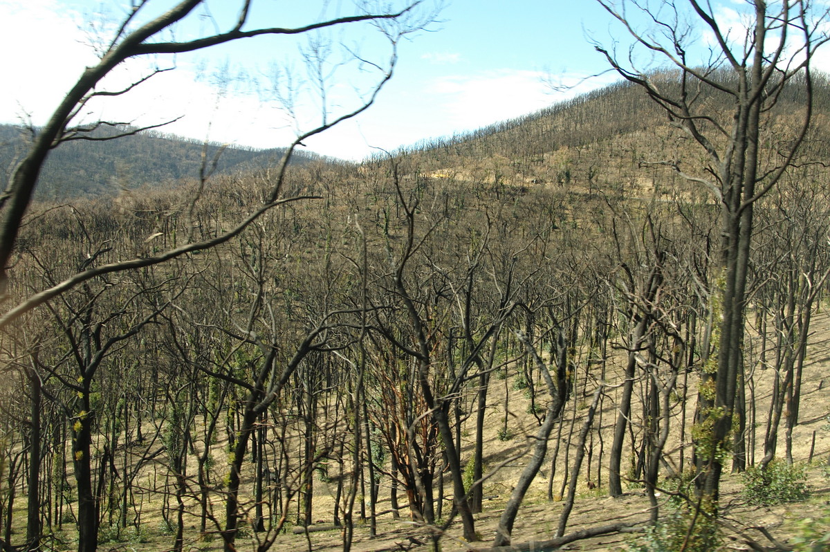 bushfire wild_fire : Kinglake, VIC   20 August 2009