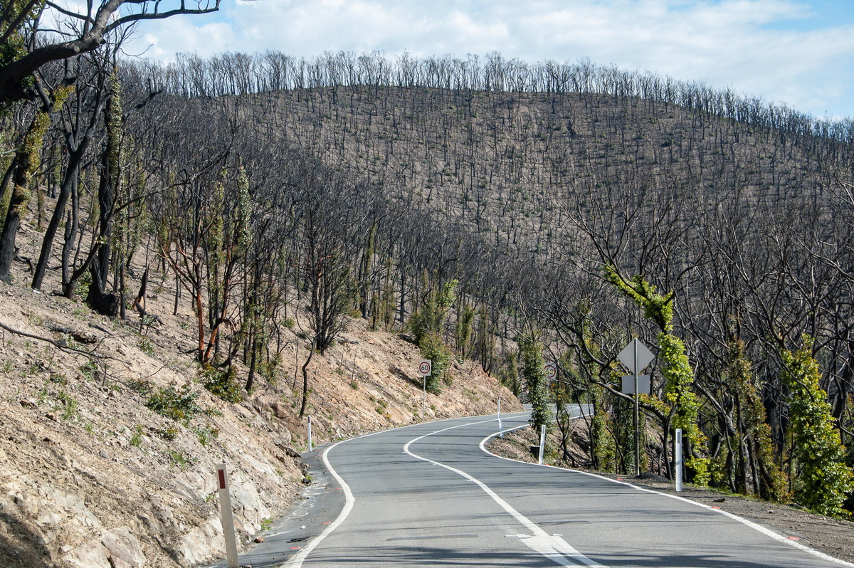 bushfire wild_fire : Kinglake, VIC   20 August 2009