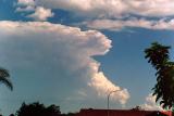 cumulonimbus_incus