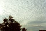 altocumulus_cloud