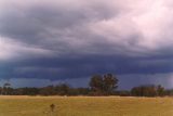 shelf_cloud