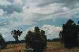 another cumulonimbus 1:14pm Moonbi Hill