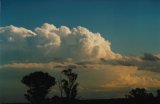 cumulonimbus south of Schofields 5:27pm