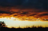 Australian Severe Weather Picture