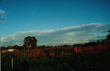 stratocumulus_cloud