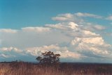 cumulonimbus_incus