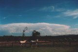 supercell_thunderstorm