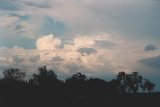 cumulonimbus_calvus