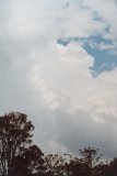 cumulonimbus_incus