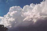 N of Wingen NSW ~3:40pm