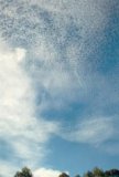 cirrocumulus_cloud