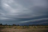 shelf_cloud