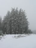 snow_pictures