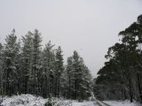 snow_pictures