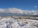 stratocumulus_cloud