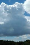 pileus_cap_cloud