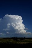 cumulonimbus_incus