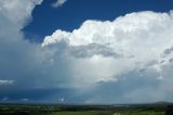 pileus_cap_cloud