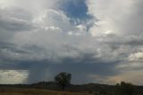 pileus_cap_cloud