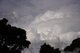 cumulonimbus_calvus