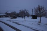 snow_pictures