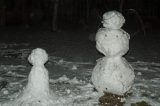 snow_pictures