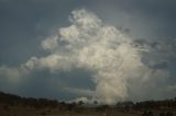 cumulonimbus_incus