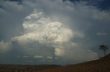 cumulonimbus_incus