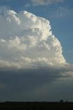 cumulonimbus_calvus