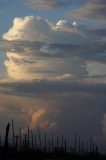 cumulonimbus_incus