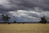 Purchase a poster or print of this weather photo