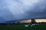 shelf_cloud