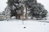 snow_pictures