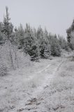 snow_pictures