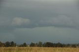 shelf_cloud