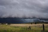 shelf_cloud