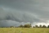 shelf_cloud