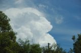 pileus_cap_cloud