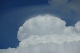 pileus_cap_cloud