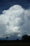 thunderstorm_updrafts