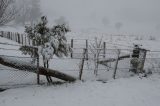 Australian Severe Weather Picture